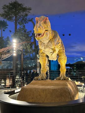 福井県立恐竜博物館に投稿された画像（2025/5/30）