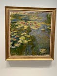 モネ　睡蓮のときに投稿された画像（2025/5/31）