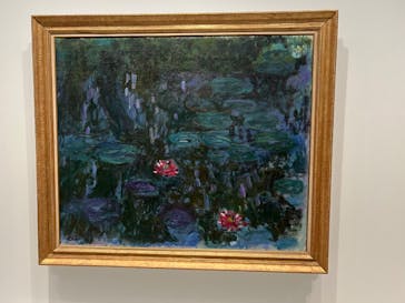 モネ　睡蓮のときに投稿された画像（2025/5/30）