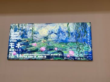 モネ　睡蓮のときに投稿された画像（2025/5/30）