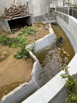 霞ケ浦 どうぶつとみんなのいえに投稿された画像（2025/5/30）