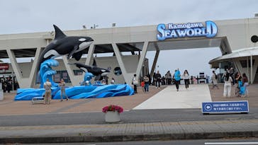 鴨川シーワールドに投稿された画像（2025/5/31）