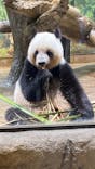 恩賜上野動物園に投稿された画像（2025/5/31）