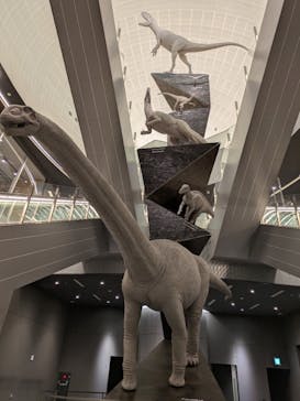 福井県立恐竜博物館に投稿された画像（2025/5/31）