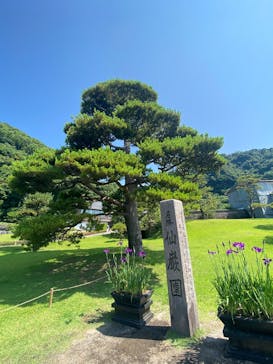 仙巌園に投稿された画像（2025/5/31）