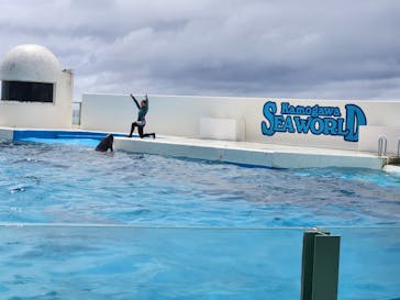 鴨川シーワールドに投稿された画像（2025/5/31）