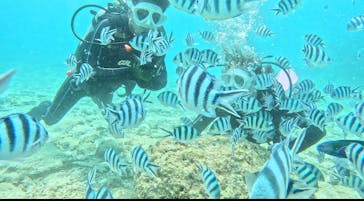 青の洞窟専門店　沖縄ダイビングショップ和に投稿された画像（2025/5/31）