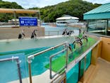 下田海中水族館に投稿された画像（2025/5/31）