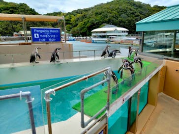 下田海中水族館に投稿された画像（2025/5/31）