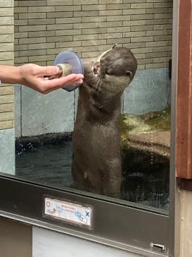下田海中水族館に投稿された画像（2025/5/31）