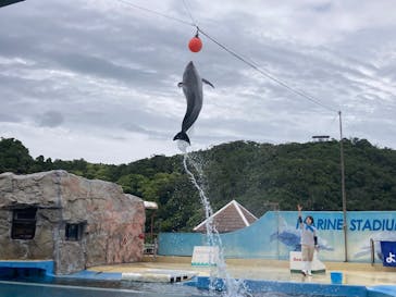 下田海中水族館に投稿された画像（2025/5/31）