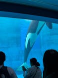 名古屋港水族館に投稿された画像（2025/5/31）