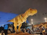 福井県立恐竜博物館に投稿された画像（2025/5/31）