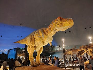 福井県立恐竜博物館に投稿された画像（2025/5/31）