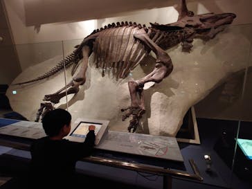 国立科学博物館に投稿された画像（2025/5/31）