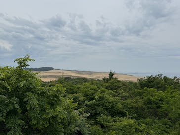 鳥取砂丘砂の美術館に投稿された画像（2025/5/31）