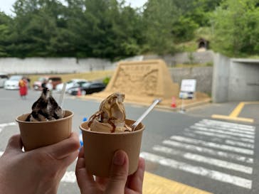 鳥取砂丘砂の美術館に投稿された画像（2025/5/31）