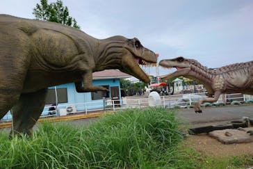 伊豆ぐらんぱる公園に投稿された画像（2025/5/31）