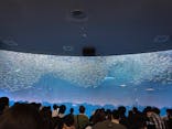 名古屋港水族館に投稿された画像（2025/5/31）