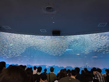 名古屋港水族館に投稿された画像（2025/5/31）