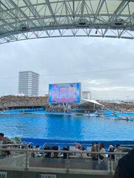 名古屋港水族館に投稿された画像（2025/5/31）