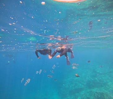 沖縄マリンサービス碧に投稿された画像（2025/5/31）