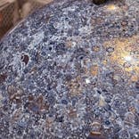 ポケモン×工芸展－美とわざの大発見－に投稿された画像（2025/5/31）