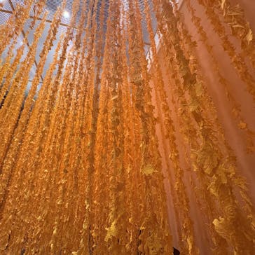 ポケモン×工芸展－美とわざの大発見－に投稿された画像（2025/5/31）