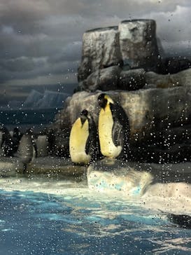 名古屋港水族館に投稿された画像（2025/5/31）