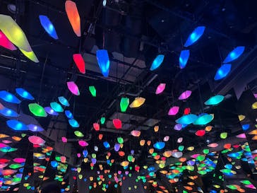 AQUARIUM × ART　atoa×felissimo chocolate museum（フェリシモ チョコレート ミュージアム）に投稿された画像（2025/5/31）