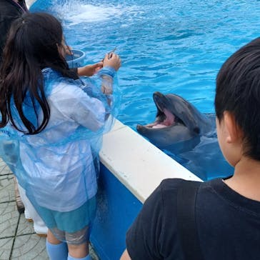 南知多ビーチランド＆南知多おもちゃ王国に投稿された画像（2025/5/31）