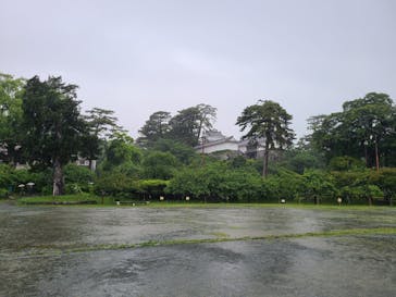 小田原城に投稿された画像（2025/5/31）