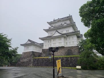 小田原城に投稿された画像（2025/5/31）