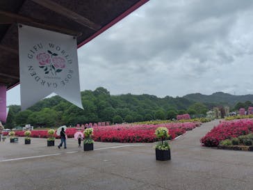 ぎふワールド・ローズガーデンに投稿された画像（2025/5/31）