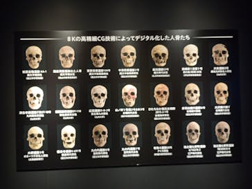 特別展「古代DNA－日本人のきた道」（国立科学博物館）に投稿された画像（2025/5/31）