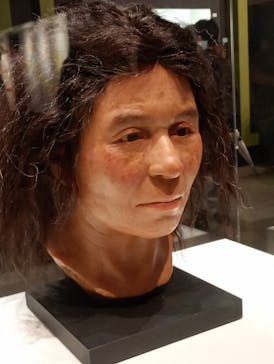 特別展「古代DNA－日本人のきた道」（国立科学博物館）に投稿された画像（2025/5/31）