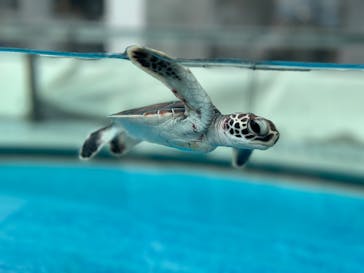 名古屋港水族館に投稿された画像（2025/5/31）