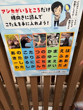 サンシャイン水族館に投稿された画像（2025/5/31）