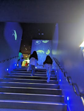 サンシャイン水族館に投稿された画像（2025/5/31）