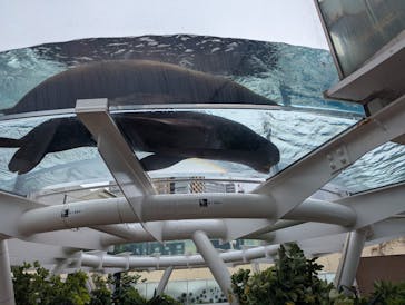 サンシャイン水族館に投稿された画像（2025/5/31）