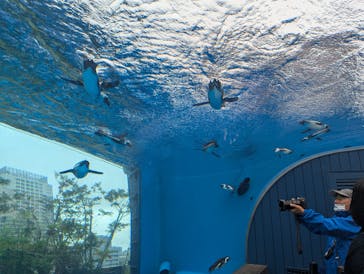 サンシャイン水族館に投稿された画像（2025/5/31）