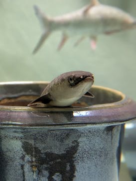 アクアテラス錦ケ丘に投稿された画像（2025/5/31）