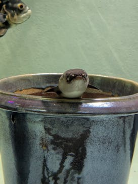 アクアテラス錦ケ丘に投稿された画像（2025/5/31）