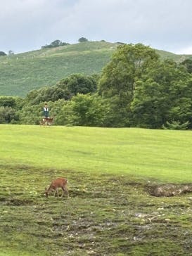 奈良国立博物館開館130年記念特別展「超 国宝―祈りのかがやきー」	に投稿された画像（2025/5/31）
