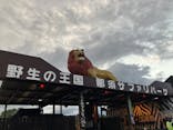 那須サファリパークに投稿された画像（2025/5/31）