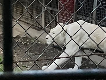 那須サファリパークに投稿された画像（2025/5/31）