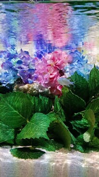 マクセル アクアパーク品川に投稿された画像（2025/5/31）