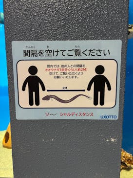 浜名湖体験学習施設ウォットに投稿された画像（2025/5/31）