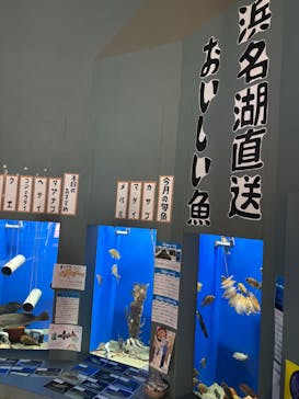 浜名湖体験学習施設ウォットに投稿された画像（2025/5/31）