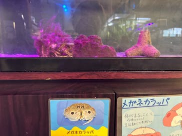 浜名湖体験学習施設ウォットに投稿された画像（2025/5/31）